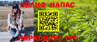 мяу мяу мука Аргун