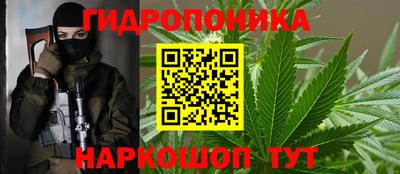 мяу мяу мука Аргун